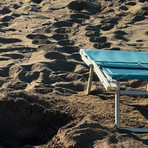 San Lorenzo al Mare, tracce di tartarughe marine in spiaggia: "Potrebbero tornare a nidificare nei prossimi giorni" San Lorenzo al Mare, tracce di tartarughe marine in spiaggia: "Potrebbero tornare a nidificare nei prossimi giorni"