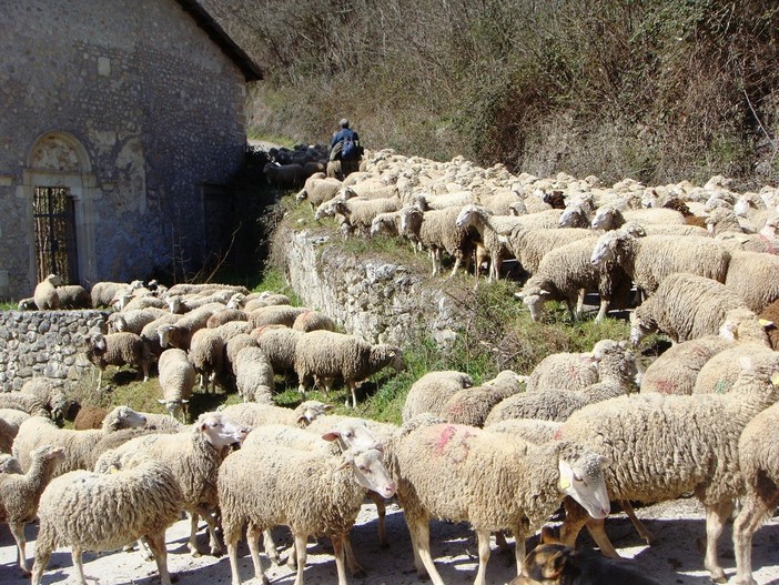 Ok del comitato intergovernativo del patrimonio mondiale: la transumanza è patrimonio culturale dell'Unesco Ok del comitato intergovernativo del patrimonio mondiale: la transumanza è patrimonio culturale dell'Unesco