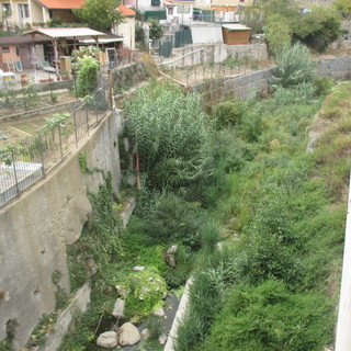 Sanremo: piogge imminenti e torrente San Romolo invaso da vegetazione, la forte preoccupazione di un lettore