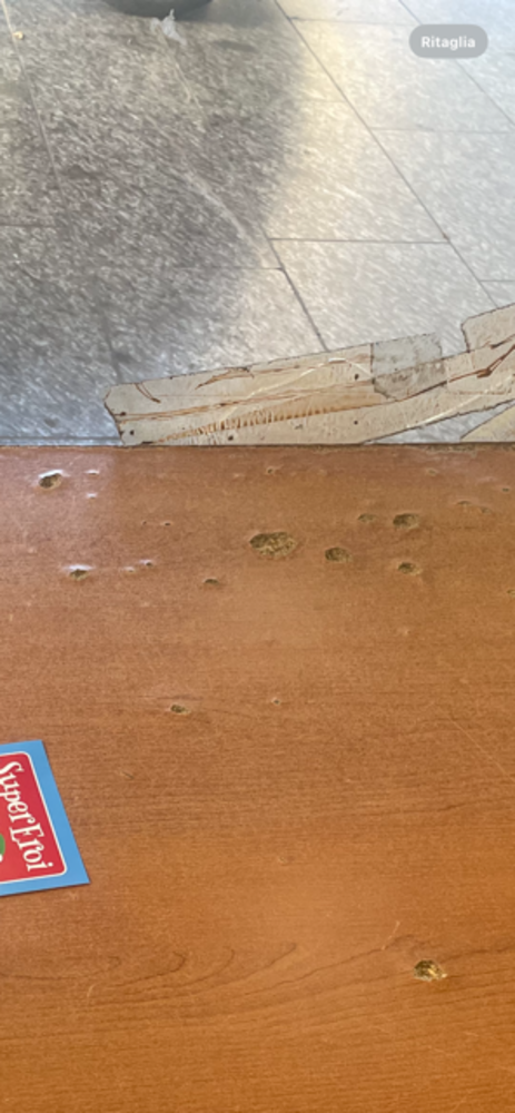 Palafiori, tavolini in condizioni pietose: "Possibile che il Comune non trovi 200 euro per cambiarli?" Palafiori, tavolini in condizioni pietose: "Possibile che il Comune non trovi 200 euro per cambiarli?"