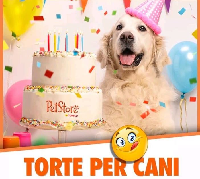 Il compleanno del nostro amico a 4 zampe? Adesso anche lui ha la sua torta ! Il compleanno del nostro amico a 4 zampe? Adesso anche lui ha la sua torta !
