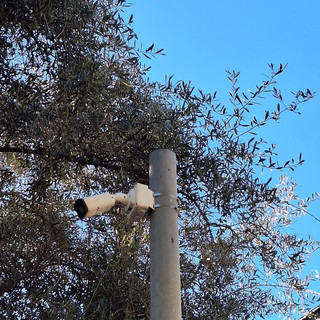 Ventimiglia, il M5S attacca Di Muro sulla videosorveglianza: "Le telecamere comunali non siano strumento di propaganda" Ventimiglia, il M5S attacca Di Muro sulla videosorveglianza: "Le telecamere comunali non siano strumento di propaganda"