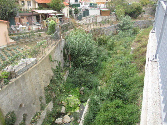 Sanremo: piogge imminenti e torrente San Romolo invaso da vegetazione, la forte preoccupazione di un lettore