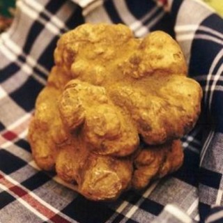 Domenica anche l'Accademia del Peperoncino con l'Anga alla Fiera del Tartufo