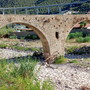 Taggia, tronco incastrato da tre anni sotto il ponte medievale: la segnalazione di un cittadino Taggia, tronco incastrato da tre anni sotto il ponte medievale: la segnalazione di un cittadino