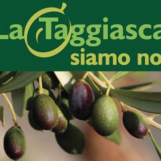 Taggia: la "Taggiasca siamo noi", il programma del grande evento dedicato a questa eccellenza del territorio