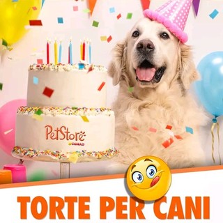 Il compleanno del nostro amico a 4 zampe? Adesso anche lui ha la sua torta ! Il compleanno del nostro amico a 4 zampe? Adesso anche lui ha la sua torta !