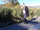 Diano Marina: il Comune affida una perizia geologica per l'arginatura del torrente Evigno Diano Marina: il Comune affida una perizia geologica per l'arginatura del torrente Evigno