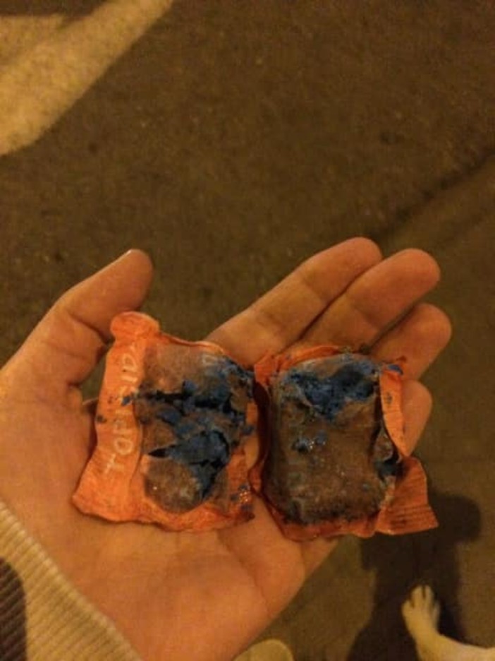 Imperia: topicida in via XXV Aprile, scatta l'allarme sui social, i residenti "E' molto pericoloso per i cani" Imperia: topicida in via XXV Aprile, scatta l'allarme sui social, i residenti "E' molto pericoloso per i cani"