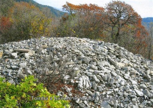 Pigna: nei pressi della diga di Tanarda, scoperta una grande tomba a tumulo realizzata con migliaia di pietre Pigna: nei pressi della diga di Tanarda, scoperta una grande tomba a tumulo realizzata con migliaia di pietre