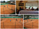 Ventimiglia: al Tennis Club iniziative rivolte ai giovani con la nuova coppia di istruttori professionisti Ventimiglia: al Tennis Club iniziative rivolte ai giovani con la nuova coppia di istruttori professionisti