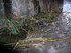 Bordighera: pulizia dei torrenti ancora da effettuare, intervento con foto del consigliere Giovanni Ramoino