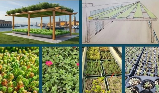 Ventimiglia ottiene 75 mila euro da Regione Liguria per nuove installazioni verdi e riqualificazione del litorale