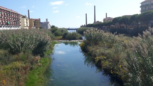 Imperia: ecco il video del Torrente Impero dopo le forti piogge di stamattina Imperia: ecco il video del Torrente Impero dopo le forti piogge di stamattina