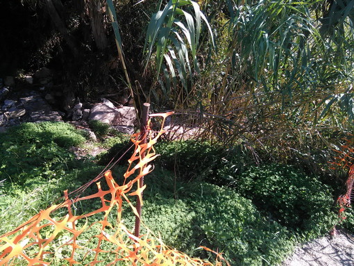 Ospedaletti: sicurezza torrente alla 'curva del fabbro', le preoccupate considerazioni di un cittadino (foto)