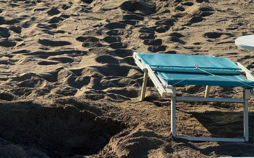San Lorenzo al Mare, tracce di tartarughe marine in spiaggia: "Potrebbero tornare a nidificare nei prossimi giorni"
