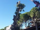 Sanremo: taglio eucaliptus a San Martino, un residente esprime dispiacere