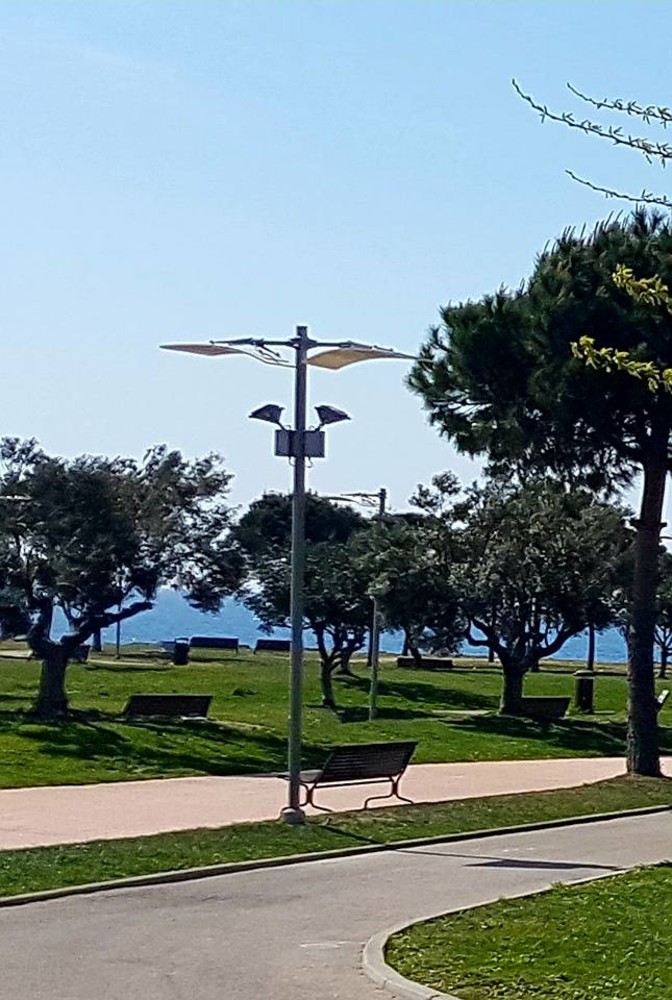 Imperia: attive le telecamere nei pressi dell'altalena inclusiva. La soddisfazione dell'associazione "La Giraffa a Rotelle" Imperia: attive le telecamere nei pressi dell'altalena inclusiva. La soddisfazione dell'associazione "La Giraffa a Rotelle"