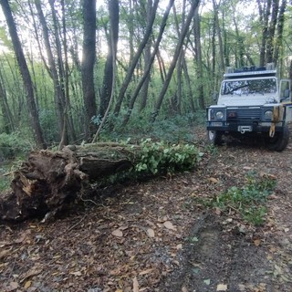 Sistemazione della strada al Faudo, Abbo a Scajola: "Non è di competenza della Provincia" Sistemazione della strada al Faudo, Abbo a Scajola: "Non è di competenza della Provincia"