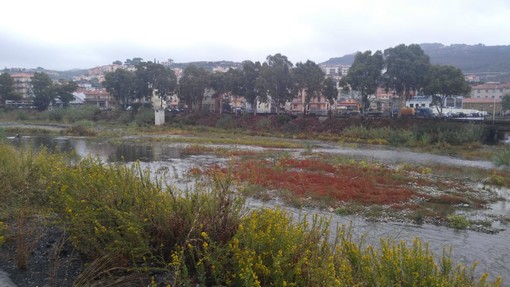 Imperia: nessuna criticità nel capoluogo, precipitazioni scarse e livello dei torrenti nella norma (Foto) Imperia: nessuna criticità nel capoluogo, precipitazioni scarse e livello dei torrenti nella norma (Foto)