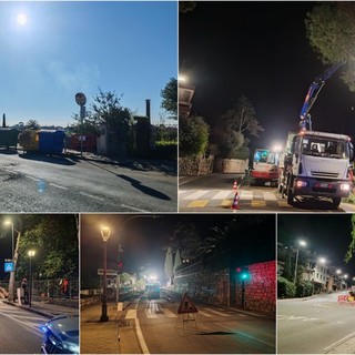 Vallecrosia, taglio dei pini sulla Romana: proseguono spediti i lavori (Foto e video) Vallecrosia, taglio dei pini sulla Romana: proseguono spediti i lavori (Foto e video)