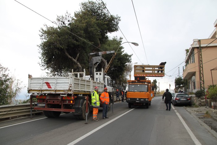 Sanremo: approvato l'intervento per la rimozione dei pali della filovia, questa mattina la decisione della Giunta Sanremo: approvato l'intervento per la rimozione dei pali della filovia, questa mattina la decisione della Giunta