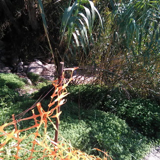 Ospedaletti: sicurezza torrente alla 'curva del fabbro', le preoccupate considerazioni di un cittadino (foto)