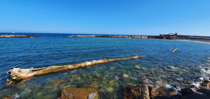 Sanremo: oggi ai bagni lido trovato un tronco di oltre venti metri tirato fuori dall'acqua dai proprietari dello stabilimento (foto) Sanremo: oggi ai bagni lido trovato un tronco di oltre venti metri tirato fuori dall'acqua dai proprietari dello stabilimento (foto)
