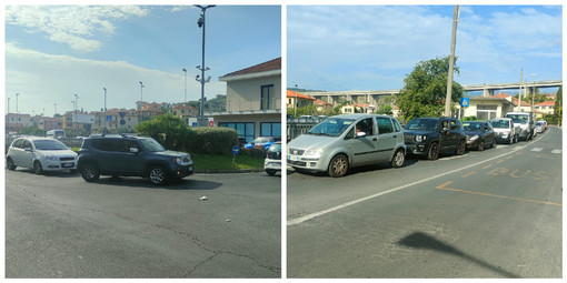 La potatura delle palme manda il traffico in tilt a Porto Maurizio La potatura delle palme manda il traffico in tilt a Porto Maurizio