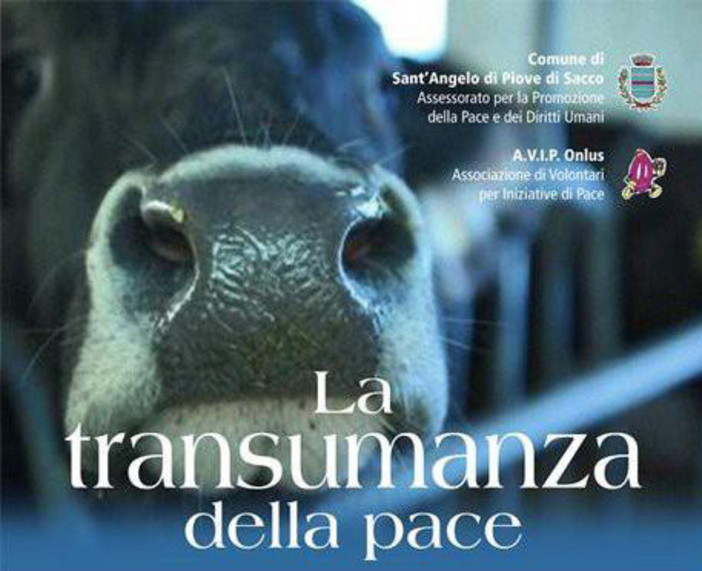 Sanremo: domani sera la proiezione del documentario "La transumanza della pace" Sanremo: domani sera la proiezione del documentario "La transumanza della pace"