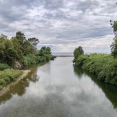 Camporosso, tutela dell'ambiente: al via la pulizia del torrente Nervia (Foto) Camporosso, tutela dell'ambiente: al via la pulizia del torrente Nervia (Foto)