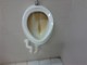 Sanremo: al Moac, la toilette degli uomini fatiscente, la segnalazione (con foto) di un lettore Sanremo: al Moac, la toilette degli uomini fatiscente, la segnalazione (con foto) di un lettore