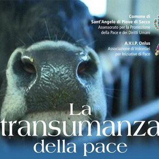 Sanremo: domani sera la proiezione del documentario "La transumanza della pace" Sanremo: domani sera la proiezione del documentario "La transumanza della pace"