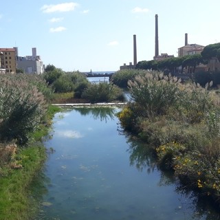 Imperia: ecco il video del Torrente Impero dopo le forti piogge di stamattina Imperia: ecco il video del Torrente Impero dopo le forti piogge di stamattina