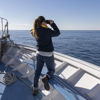 Turismo sostenibile, opportunità per le imprese liguri. Al via la manifestazione di interesse Turismo sostenibile, opportunità per le imprese liguri. Al via la manifestazione di interesse