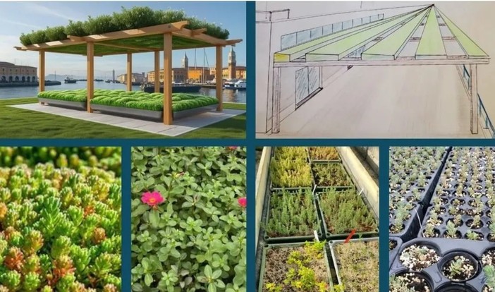 Ventimiglia ottiene 75 mila euro da Regione Liguria per nuove installazioni verdi e riqualificazione del litorale