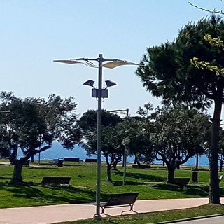 Imperia: attive le telecamere nei pressi dell'altalena inclusiva. La soddisfazione dell'associazione "La Giraffa a Rotelle"