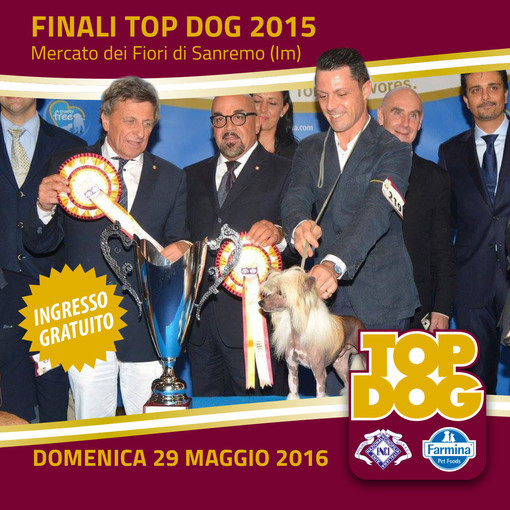 I cani più belli e pluripremiati animeranno domenica prossima il 'Top Dog' a Sanremo firmato Farmina Pet Foods!