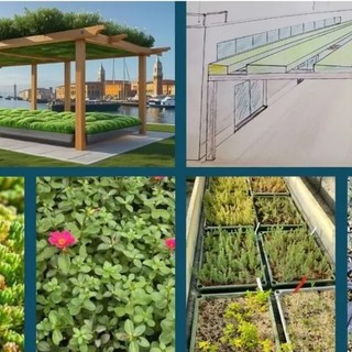 Ventimiglia ottiene 75 mila euro da Regione Liguria per nuove installazioni verdi e riqualificazione del litorale