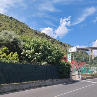 Vallecrosia al Mare, marciapiede di collegamento tra il museo della canzone Erio Tripodi e il cimitero: la mozione della minoranza
