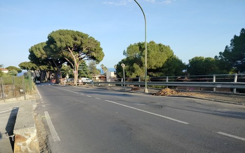Sanremo, dopo il taglio dei pini in via Padre Semeria arrivano i nuovi asfalti: affidati i lavori per quasi 185 mila euro, giovedì l'inizio