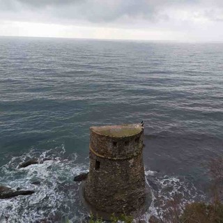 Imperia: danni alla torre di Prarola dopo la mareggiata, il sindaco scrive al ministero dei beni culturali Imperia: danni alla torre di Prarola dopo la mareggiata, il sindaco scrive al ministero dei beni culturali