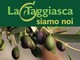 Taggia: la "Taggiasca siamo noi", il programma del grande evento dedicato a questa eccellenza del territorio