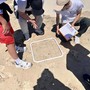 Sanremo, terzo tentativo di nidificazione per una Caretta caretta: nessun uovo sulla spiaggia Sanremo, terzo tentativo di nidificazione per una Caretta caretta: nessun uovo sulla spiaggia