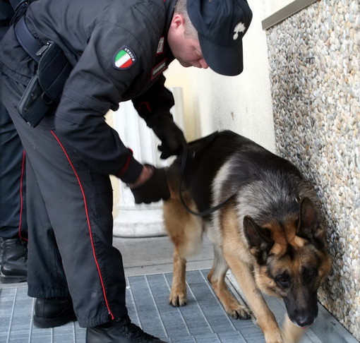 Bordighera: controlli antidroga dell'unità cinofila dei Carabinieri questa mattina al Montale Bordighera: controlli antidroga dell'unità cinofila dei Carabinieri questa mattina al Montale