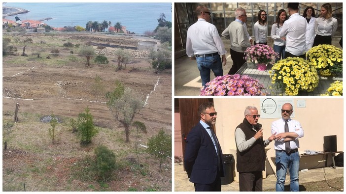 Imperia, all'Oliveto Sperimentale di Garbella via ai corsi per tecnici agrari Imperia, all'Oliveto Sperimentale di Garbella via ai corsi per tecnici agrari