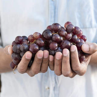Aspettando la festa dell'uva: sabato giri in vigna e degustazione in attesa della festa di fine agosto a Pornassio
