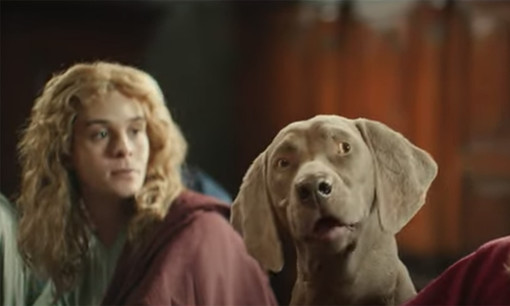 Spot 'Segugio.it' tacciato di blasfemia, i coordinamenti Udc di Savona, Genova, Imperia e La Spezia contro il Commissario regionale Calcagno Spot 'Segugio.it' tacciato di blasfemia, i coordinamenti Udc di Savona, Genova, Imperia e La Spezia contro il Commissario regionale Calcagno