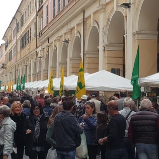 Imperia: nel prossimo fine settimana grande spazio alle eccellenze del territorio durante 'Olioliva 2019'