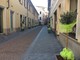 Imperia: le sponsorizzazioni funzionano, 15 ulivi donati dai commercianti di via Monti per abbellire la strada